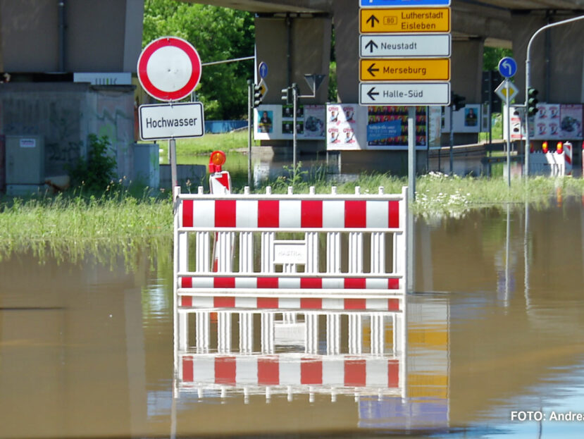 Hochwasser in Halle 2013 (Foto: Andreas Rohrbach)